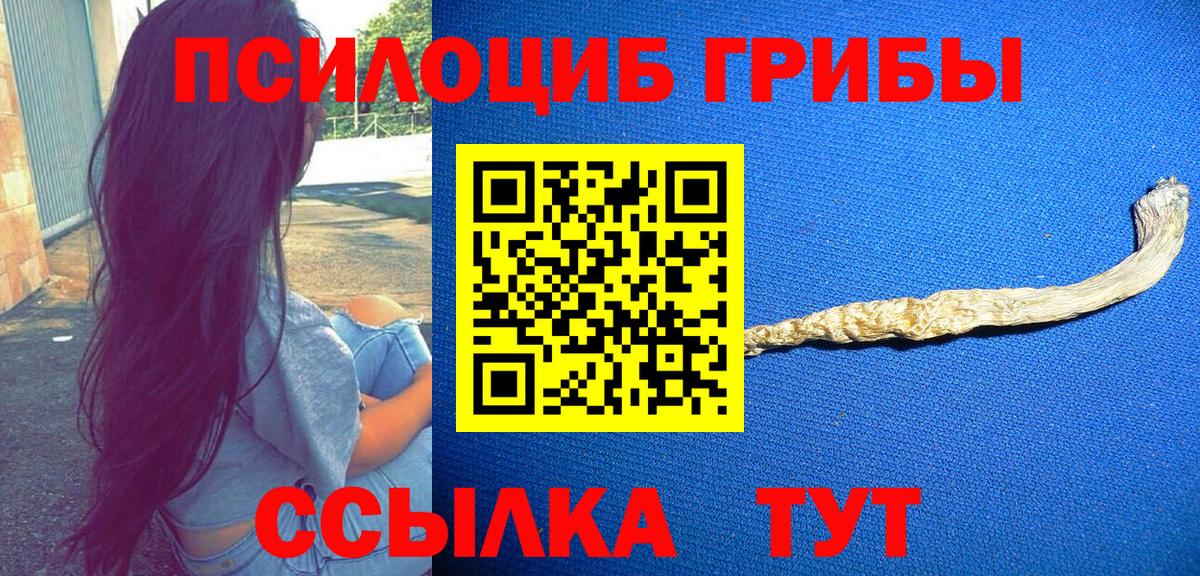 Слободской  Псилоцибиновые грибы Psilocybine cubensis  Вход с VPN  Галлюциногенные грибы GOLDEN TEACHER 